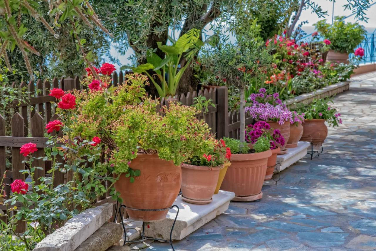 פראליה וראחו Villa Giovanni מראה חיצוני תמונה